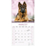 Calendrier 2027 Berger Allemand