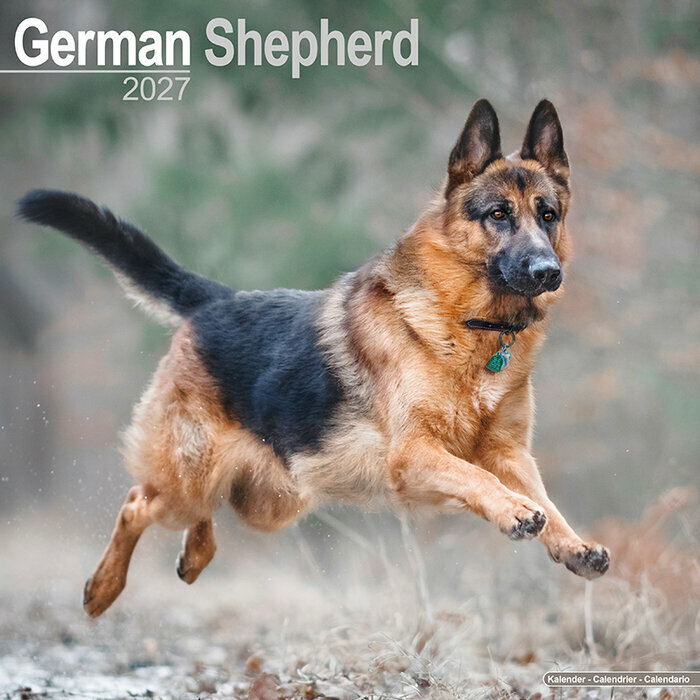 Calendrier Mural 2027 Berger Allemand