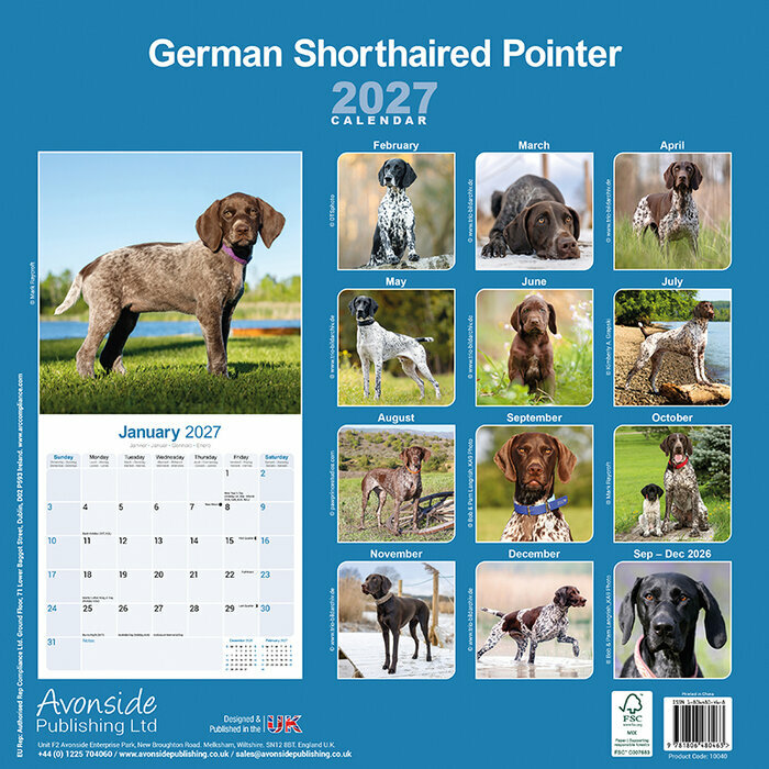 Calendrier 2027 Braque Allemand Calendrier 2027 Braque allemand