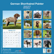 Calendrier 2027 Braque Allemand Calendrier 2027 Braque allemand