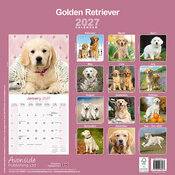 Calendrier 2027 Golden Retriever Calendrier 2027 Golden retriever