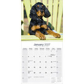 Calendrier 2027 Setter gordon