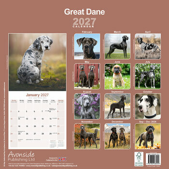 Calendrier 2027 Dogue Allemand