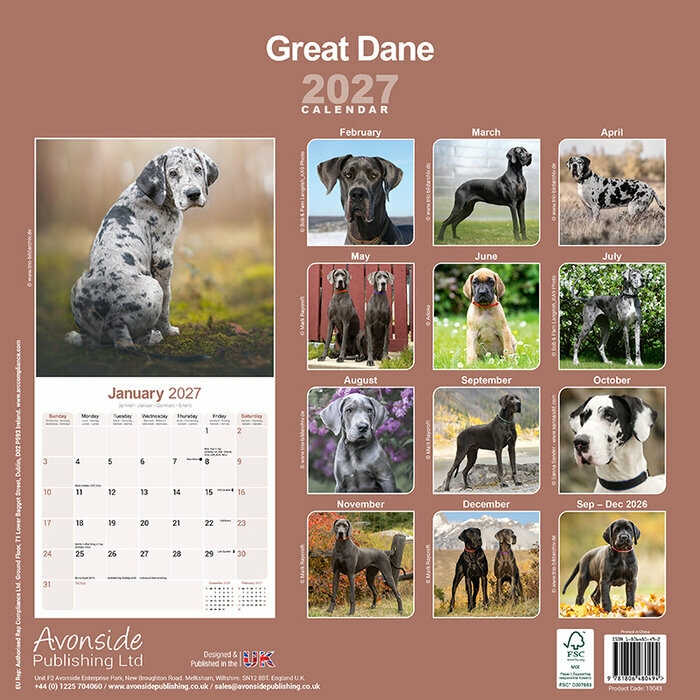 Calendrier 2027 Dogue Allemand Calendrier papier 2027 Dogue Allemand