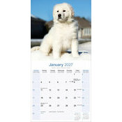 Calendrier  2027 Montagne des Pyr�n�es