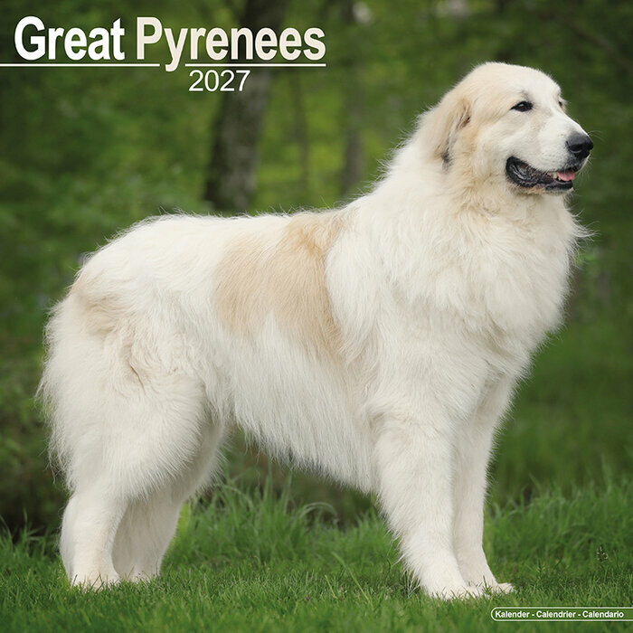 Calendrier Mural 2027 Montagne des Pyr�n�es