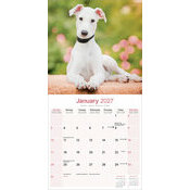 Calendrier papier 2027 Greyhound