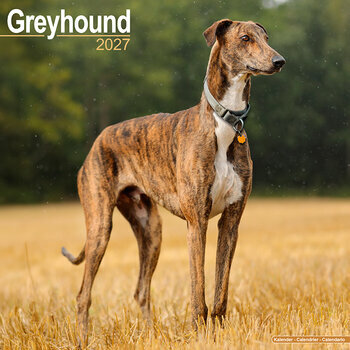 Calendrier 2027 Greyhound