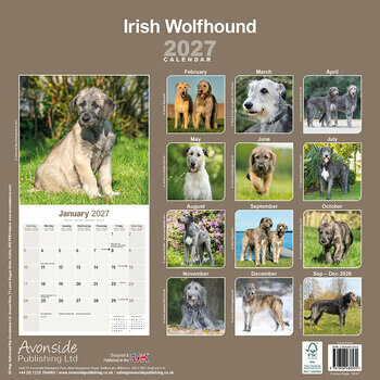 Calendrier 2027 Irish Wolfhound