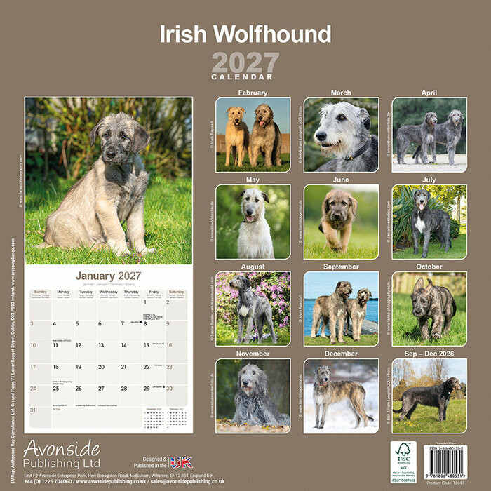 Calendrier 2027 Irish Wolfhound