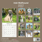 Calendrier 2027 Irish Wolfhound