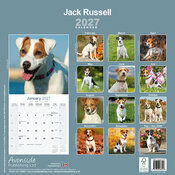 Calendrier 2027 Jack Russell Terrier Calendrier 2027 Jack Russell