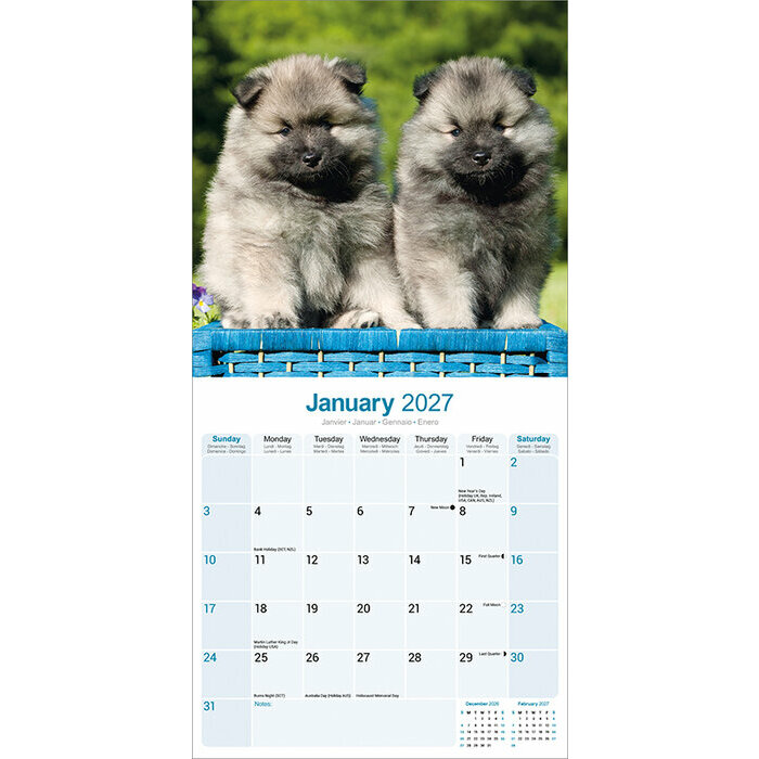 Calendrier 2027 Spitz Loup Calendrier papier 2027 Spitz loup