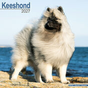 Calendrier 2027 Spitz Loup Calendrier Mural 2027 Spitz