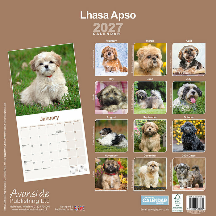 Calendrier 2027 Lhassa Apso Calendrier 2027 Lhassa Apso