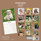 Calendrier 2027 Lhassa Apso Calendrier 2027 Lhassa Apso