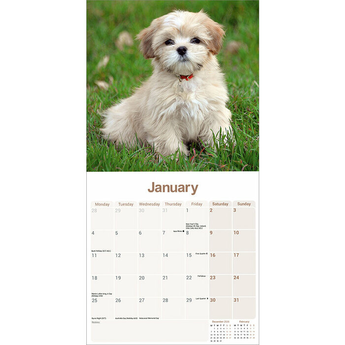 Calendrier 2027 Lhassa Apso Calendrier papier 2027 Lhassa Apso