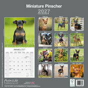 Calendrier 2027 Pinscher Nain Calendrier 2027 Pinscher Nain