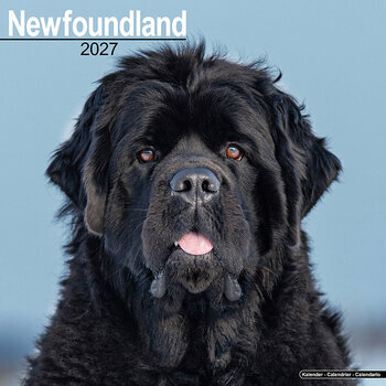 Calendrier 2027  Terre Neuve