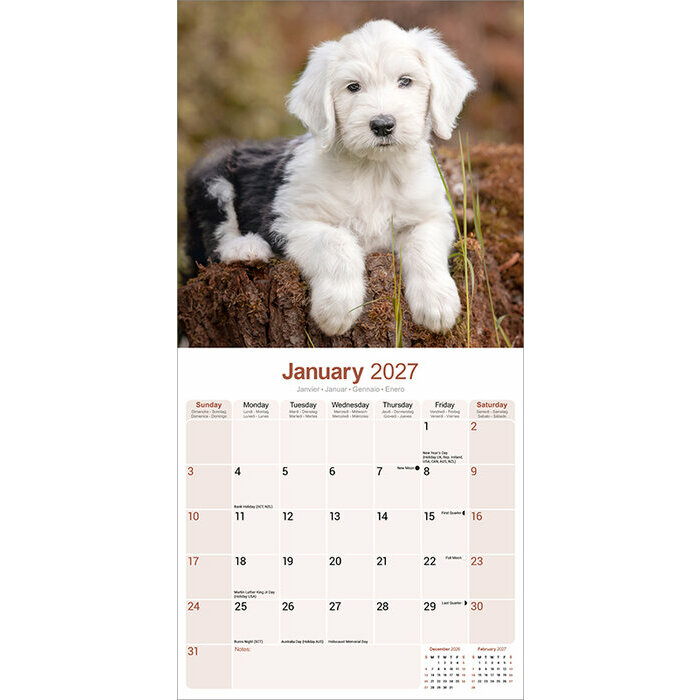 Calendrier 2027 Bobtail