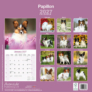 Calendrier 2027 L'&Eacute;pagneul Papillon