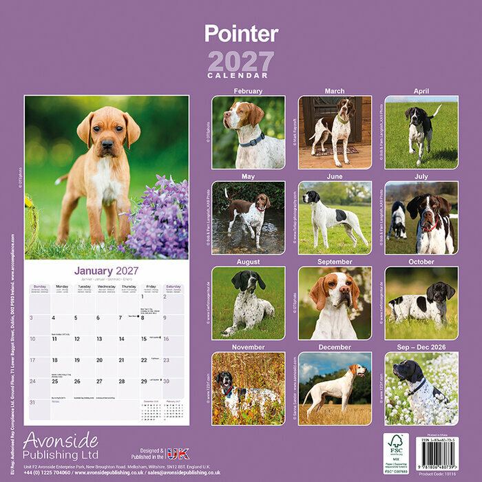 Calendrier 2027 Pointer Calendrier 2027 Pointer