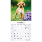 Calendrier 2027 Pointer Calendrier Papier 2027 Pointer