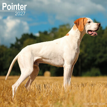 Calendrier 2027 Pointer