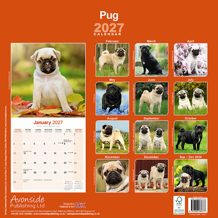 Calendrier Mural 2027 Carlin