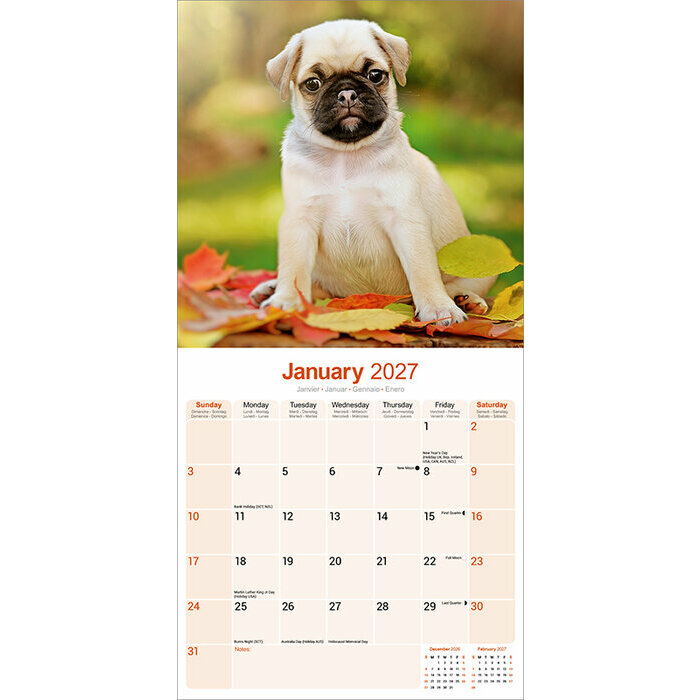 Calendrier Mural 2027 Carlin