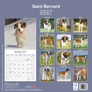Calendrier 2027 Saint Bernard