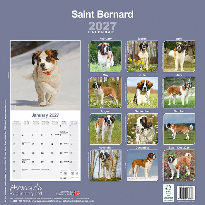 Calendrier 2027 Saint Bernard