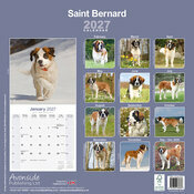Calendrier 2027 Saint Bernard