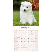Calendrier 2027 Samoyède Calendrier papier 2027 Samoyede