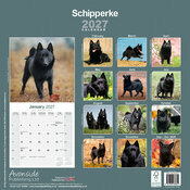 Calendrier  2027 Schipperke