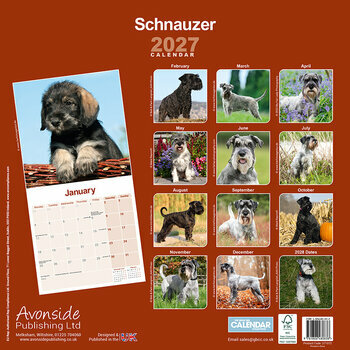 Calendrier 2027 Schnauzer
