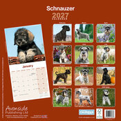 Calendrier papier Schnauzer Moyen 2027