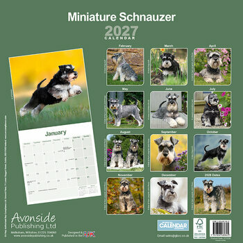 Calendrier 2027 Schnauzer Nain