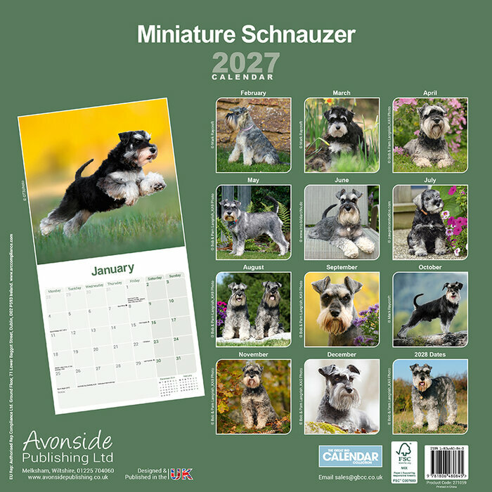 Calendrier 2027 Schnauzer Nain Calendrier papier Schnauzer Nain 2027