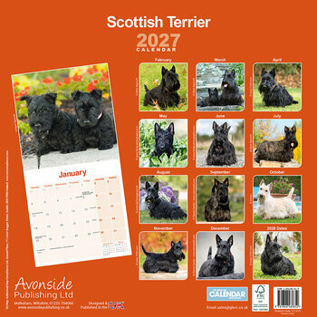 Calendrier 2027 Scottish Terrier