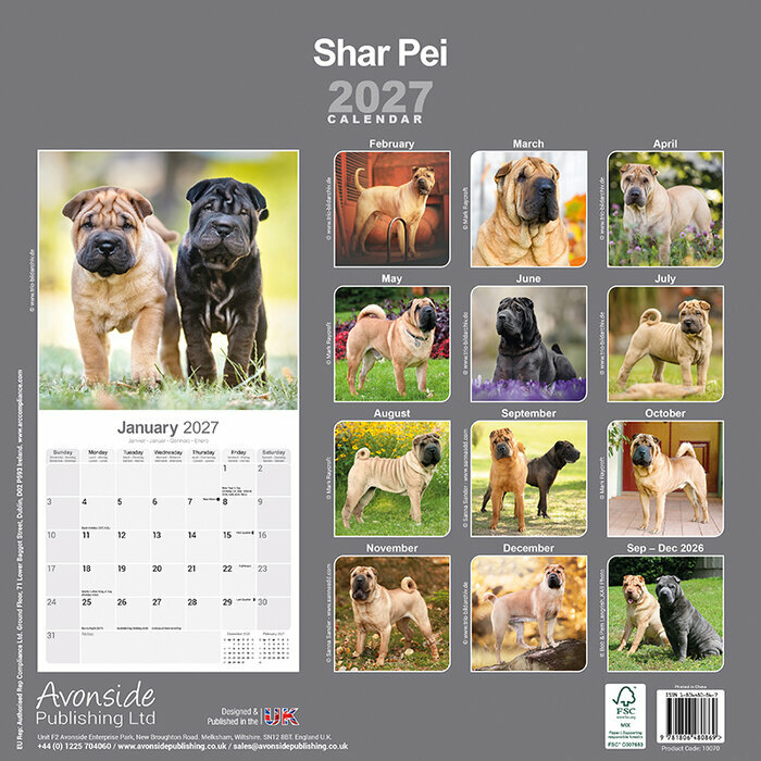 Calendrier 2027 Shar Pei Calendrier papier Shar Pei Mural 2027