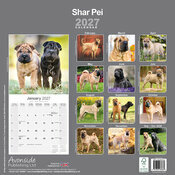 Calendrier 2027 Shar Pei Calendrier papier Shar Pei Mural 2027