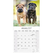 Calendrier 2027 Shar Pei Calendrier mural Shar Pei Mural 2027