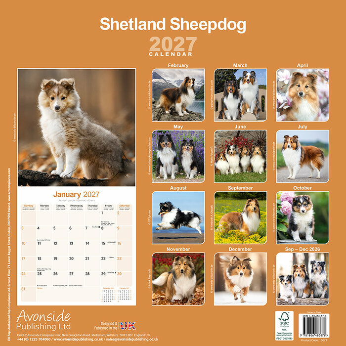 Calendrier 2027 Berger Shetland Calendrier Mural Shetland 2027