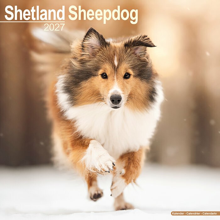 Calendrier 2027 Berger Shetland Calendrier Mural Shetland 2027 Fleur