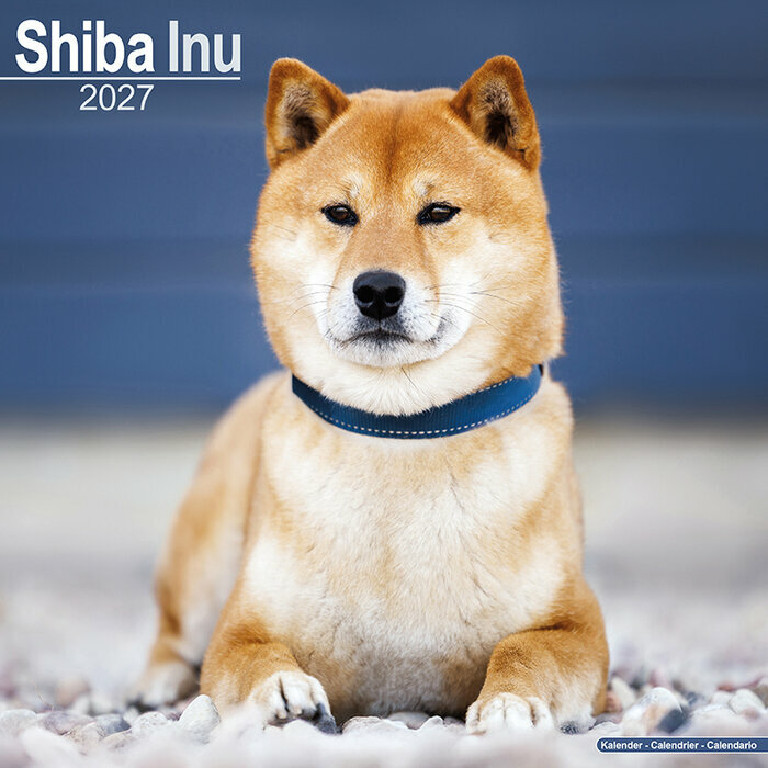 Calendrier Shiba Inu Couple 2027