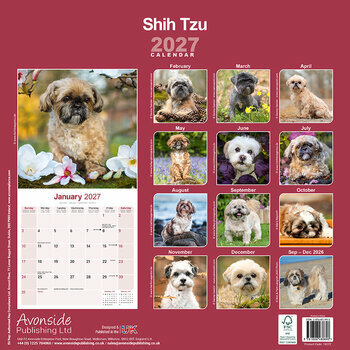 Calendrier 2027 Shih Tzu