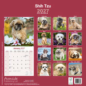 Calendrier mural Chien Shih Tzu 2027