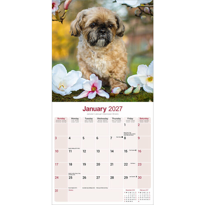 Calendrier papier Chien Shih Tzu 2027