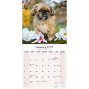 Calendrier papier Chien Shih Tzu 2027